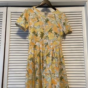 Lularoe Amelia dress size L